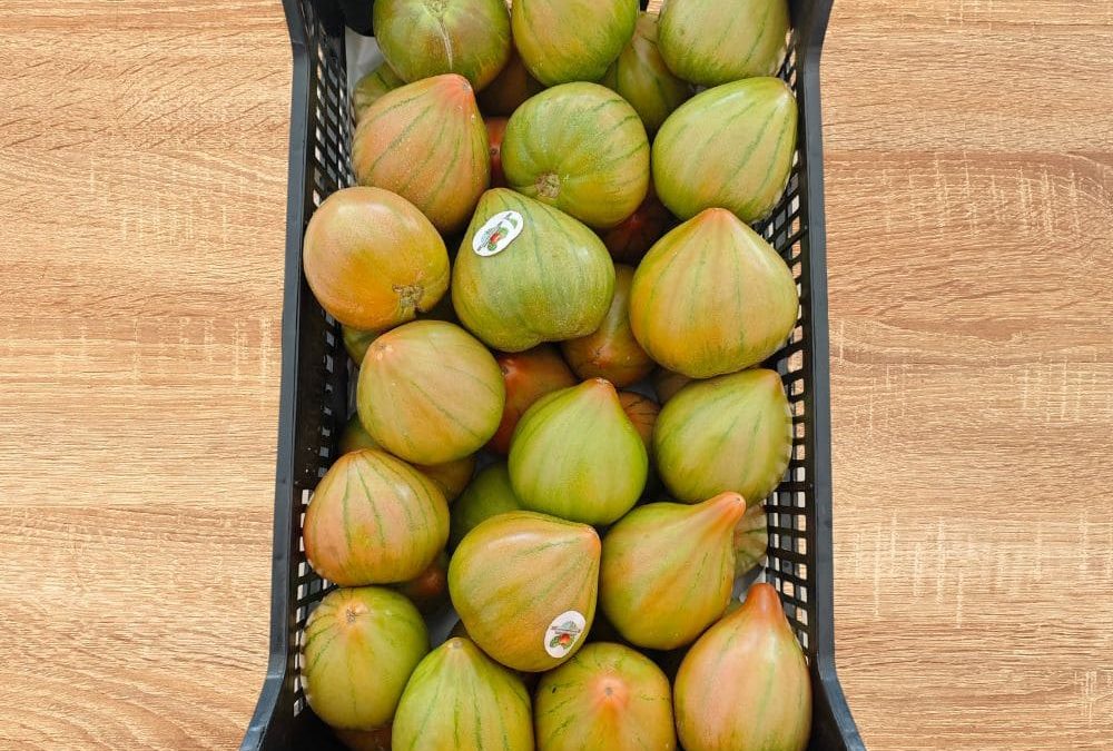 Tomate Valenciano Salvador del Cerro S.L.