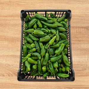 Pimiento Padrón