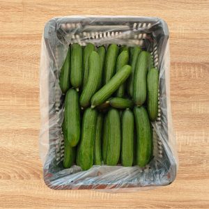 Pepino mini