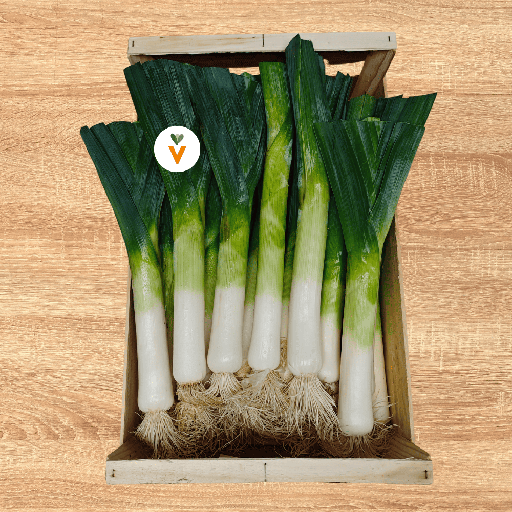 Caja de puerros gordos frescos colocados verticalmente