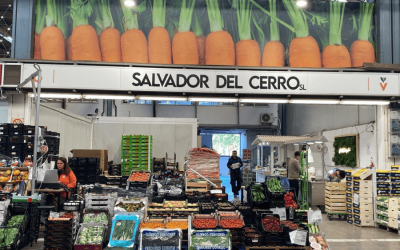 Salvador del Cerro SL: mayorista de verduras y hortalizas en Mercovasa (El Puig de Santa Maria)