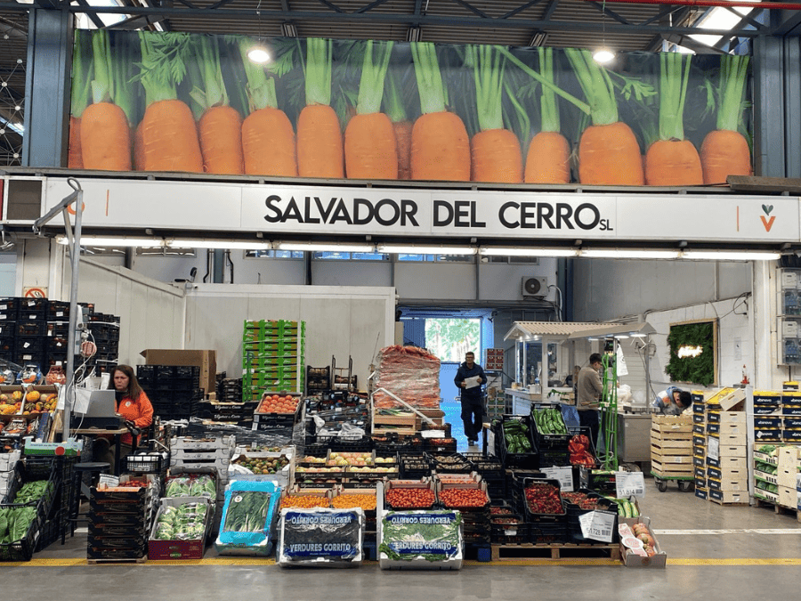 Salvador del Cerro SL: mayorista de verduras y hortalizas en Mercovasa (El Puig de Santa Maria)
