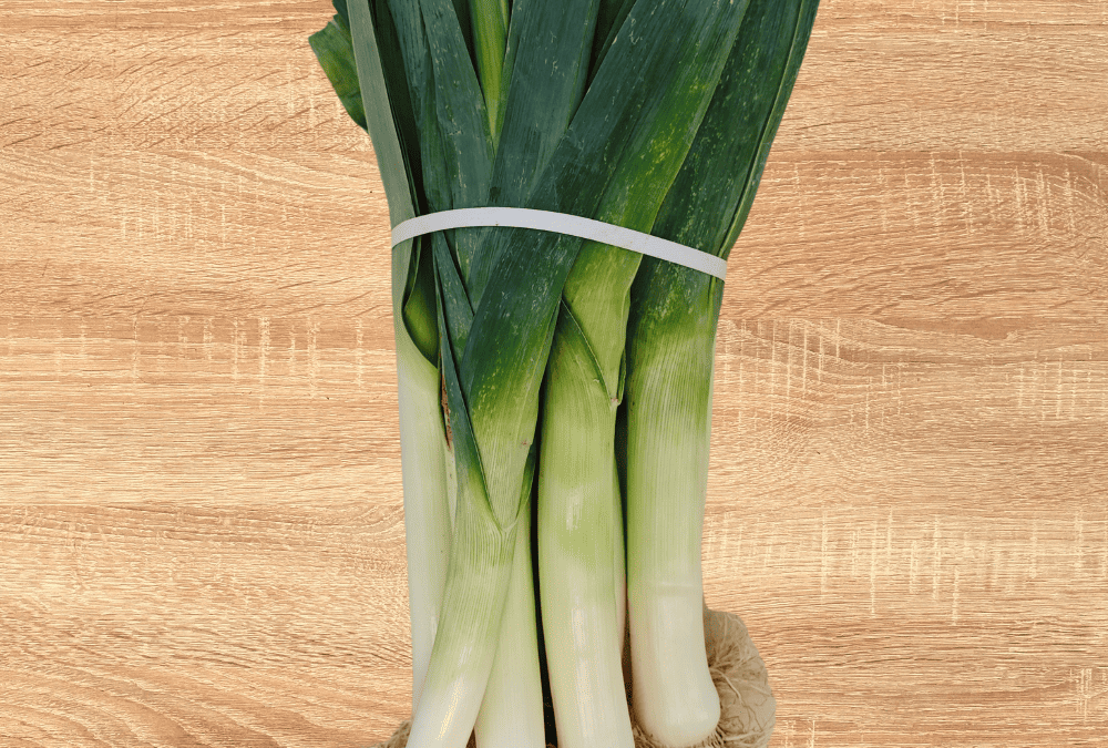 Puerro en manojo fresco: calidad, frescura y rentabilidad para el canal profesional