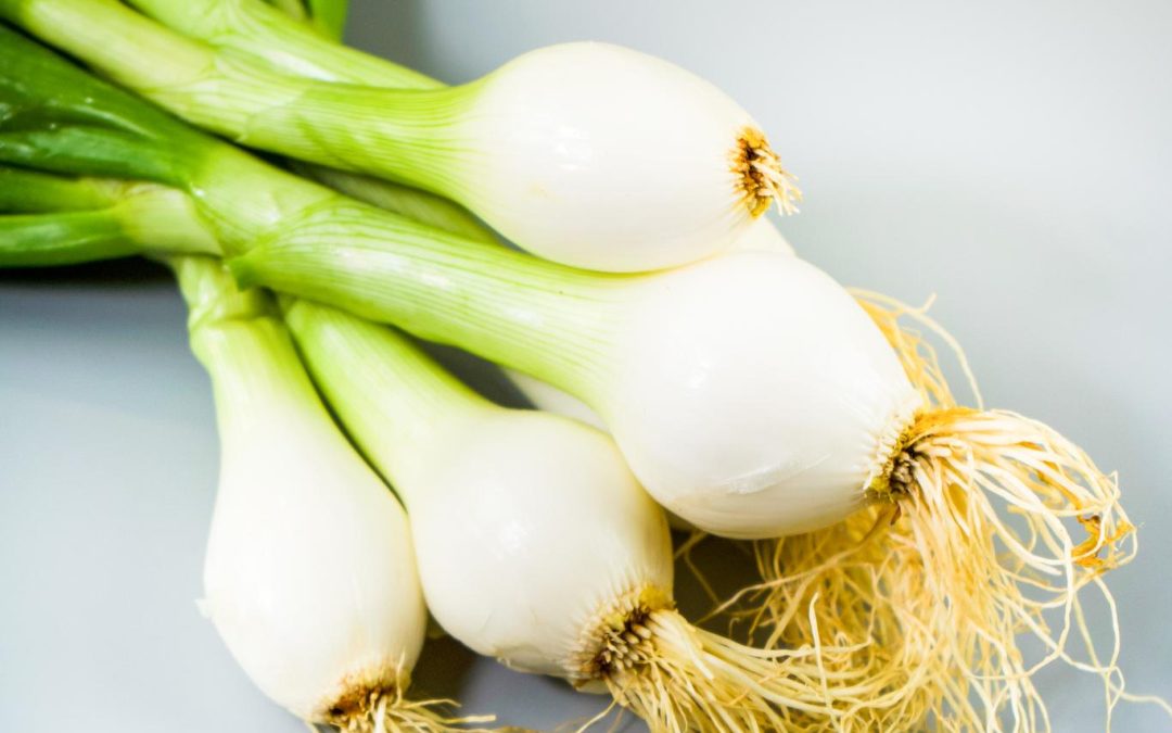 Consejos para conservar y aprovechar la cebolla tierna fresca