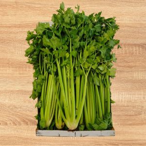 Apio fresco en caja para distribución profesional en Valencia