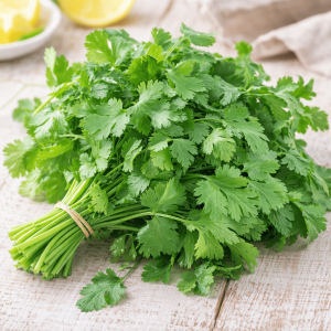 Cilantro fresco en manojo sobre tabla de cocina