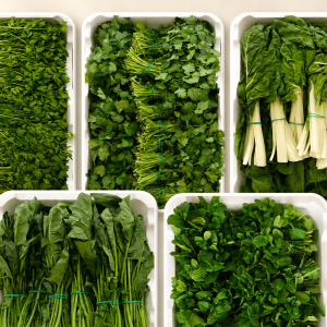Hierbas Aromáticas