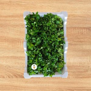 Menta fresca al por mayor para hostelería y fruterías